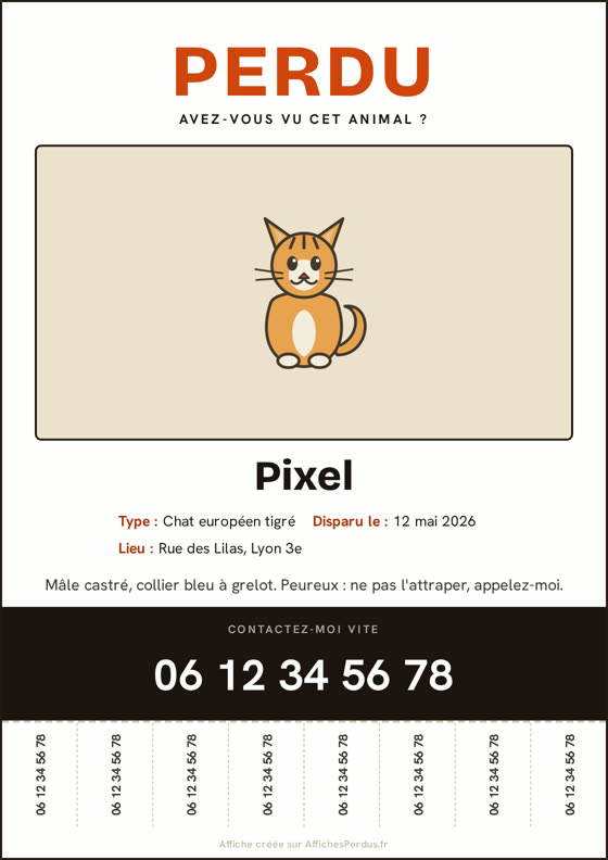 Exemple fictif d'affiche chat perdu créée avec AffichesPerdus.fr