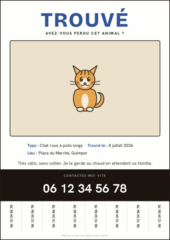 Exemple fictif d'affiche chat trouvé créée avec AffichesPerdus.fr