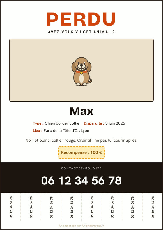 Exemple fictif d'affiche chien perdu, avec récompense créée avec AffichesPerdus.fr