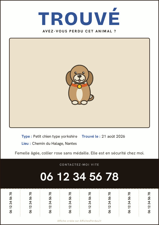 Exemple fictif d'affiche chien trouvé créée avec AffichesPerdus.fr