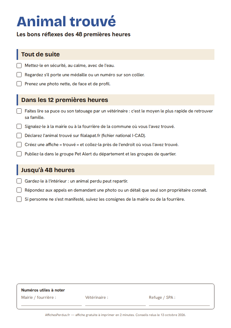 Checklist animal trouvé, 48 premières heures