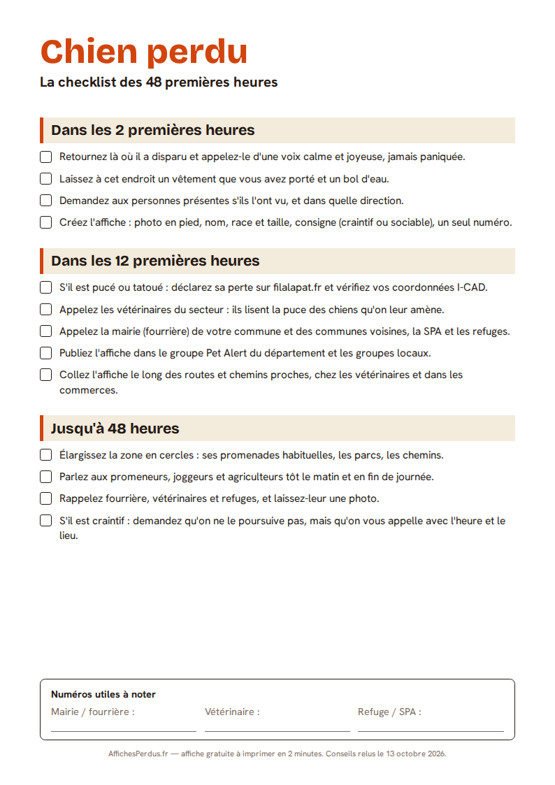 Checklist chien perdu, 48 premières heures